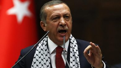 أردوغان..تركيا ستتحرك في الازمة السورية عند مرحلة محددة 7