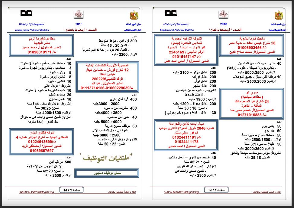 القوى العاملة»: آلاف فرص العمل للشباب. 1