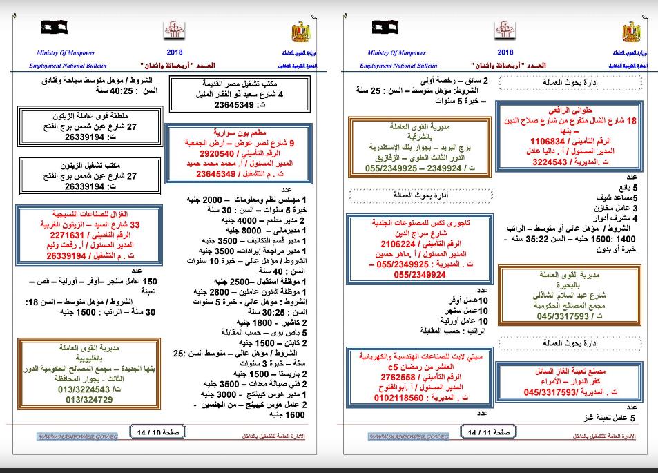 القوى العاملة»: آلاف فرص العمل للشباب. 3