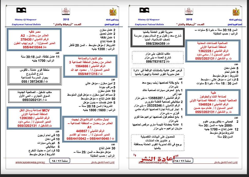 القوى العاملة»: آلاف فرص العمل للشباب. 4