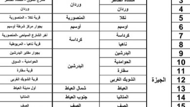 مجازر محافظة الجيزة تفتح أبوابها مجانا للمواطنين خلال العيد 6