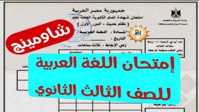 الداخلية تعلن عن التوصل لأصحاب صفحات تسريب امتحانات 3 ثانوي 6