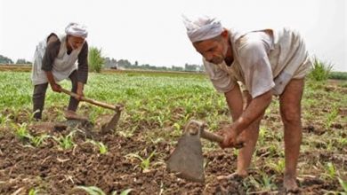 ناس تعرق.. وناس لاتعرف العرق  7