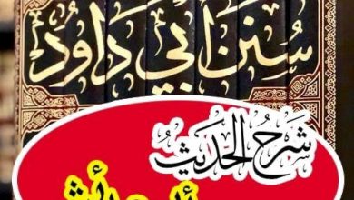 الإسلام وتنظيم شئون الحياة 5