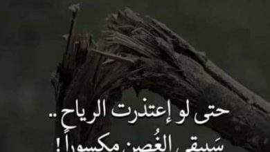 لاتسلم شجرة من ريح. 5