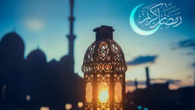 استراحة وضوح.. إحذروا الفيلة في رمضان 6