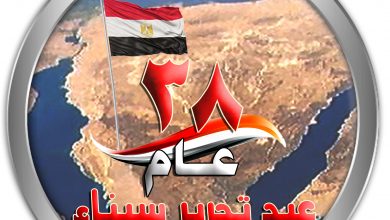 الذكرى الـ 38 لتحرير سيناء 7