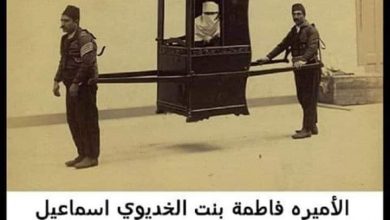 الأميرة المصرية تبرعت بأرضها لبناء جامعة القاهرة 4