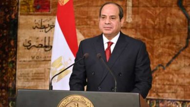 الرئيس السيسي : الاقتصاد المصري أصبح قادرعلى تلبية احتياجات وتطلعات الشعب المصري 8