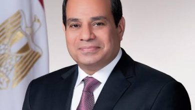 السيسي شجع المستثمرين العرب والأجانب على الاستثمار في مصر 5