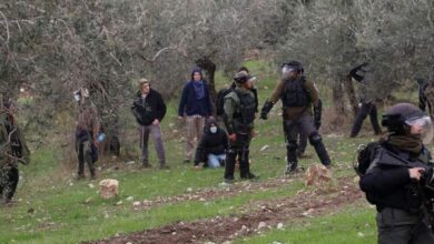 الخارجيـة الفلسطينية: تبادل أدوار علني بين جيش الاحتلال والمستوطنين في الاعتداء على الفلسطينيين 7