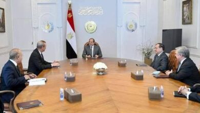 الرئيس السيسي يشيد بخبرات وأنشطة شركة شيفرون الأمريكية بمصر 6