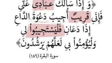 قصة حقيقية تقشعرُّ لها الأبدان ... تعرف على تدبير الله لعباده المخلصين  5