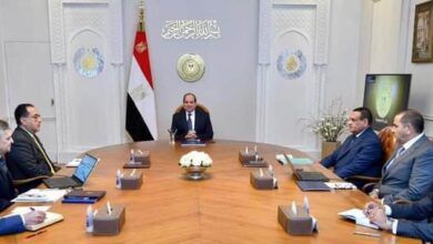 الرئيس السيسي يتابع جهود توطين صناعة مراكب الصيد في مصر 15