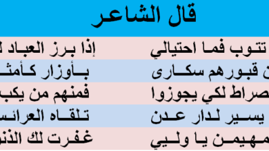 مفهوم الكون الكبير (46 أ) من أهوال يوم القيامة 4