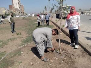 استمرار فعاليات مبادرة زراعة 100 مليون شجرة بمحافظة أسيوط 1