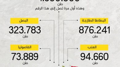 العطار : مصر تصدر 400 منتج زراعي إلى ‏‏120 دولة حول العالم 8