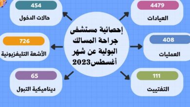 6190 مترددا على مستشفتي جراحة المسالك وأسيوط الجديدة في أغسطس 12