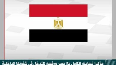 المرصد العربي لحقوق الإنسان يرفض تدخل البرلمان الأوروبي في شئون مصر الداخلية 7