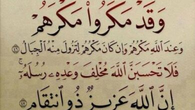 وَقَدْ مَكَرُوا مَكْرَهُمْ .... إِنَّ اللَّهَ عَزِيزٌ ذُو انتِقَامٍ 19