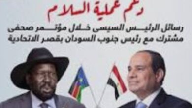 "السيسي" يتفق مع 'سيلفا كير' على تنسيق الجهود لتجنيب الشعب السودانى المزيد من التشتيت 5