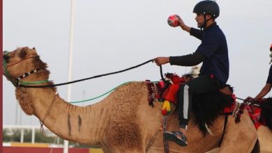 الإتحاد المغربي لسباق الإبل يشارك بالنسخة الثالثة من البطولة الدولية لكرة يد الهجانة بالشحانية 3