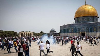 الأزهر الشريف يحذر من مخاطر تقييد وصول الفلسطينيين للمسجد الأقصى 14