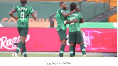 نيجيريا تتأهل لنصف نهائى أمم أفريقيا بهدف ضد أنجولا 6