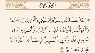 آية وموعظة اليوم الثالث والعشرون من شهر رمضان .. الزكاة وحكم مانعها 3