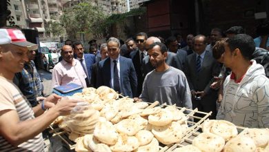 السجيني وراشد يقودان حملات رقابية مكبره بمحافظة الجيزة 11