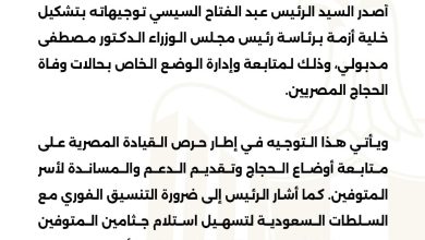 الرئيس السيسي يوجه بتشكيل خلية أزمة لمتابعة حالات وفاة الحجاج المصريين 4