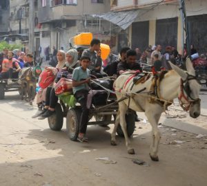 جريدة (وضوح ) تستعرض أحدث تطورات الأوضاع في غزة ولبنان 2