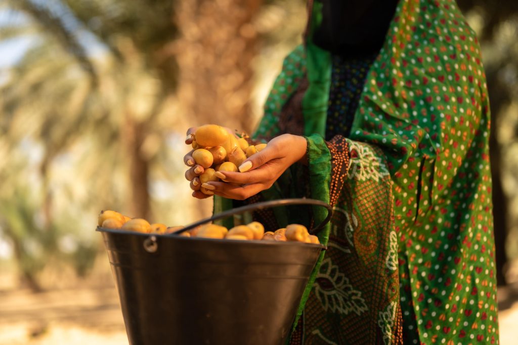 مؤسسة ريف الأهلية تطلق مبادرة التمكين الاقتصادي للمرآه الريفية في المملكة 4