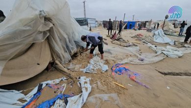 بالفيديو : تفاقم الأزمة الإنسانية في غزة.. تزايد معاناة النازحين تحت وطأة البرد والجوع 5