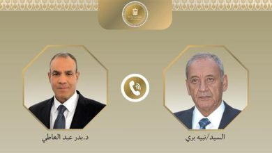 وزير الخارجية : توجيهات رئيس الجمهورية بتقديم أوجه الدعم للبنان الشقيق 1