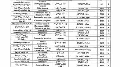 الزراعة...وقاية النباتات يصدر التوصيات الفنية لمكافحة دودة الحشد الخريفية 5