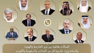 مصر تجري اتصالات مكثفة مع الدول العربية لرفض أي محاولات لتهجير الفلسطينيين خارج أرضهم 3