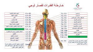 ثورة جديدة في الطب: "قصارلوجي" والعلاج بتدليك الأعصاب 1