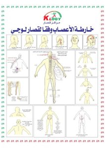 الباحث ياسر قصار لـ ( وضوح ):الأعصاب مفتاح لعلاج الأمراض المزمنة والإعاقات الحركية 2