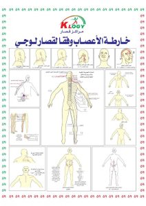 ثورة جديدة في الطب: "قصارلوجي" والعلاج بتدليك الأعصاب 2