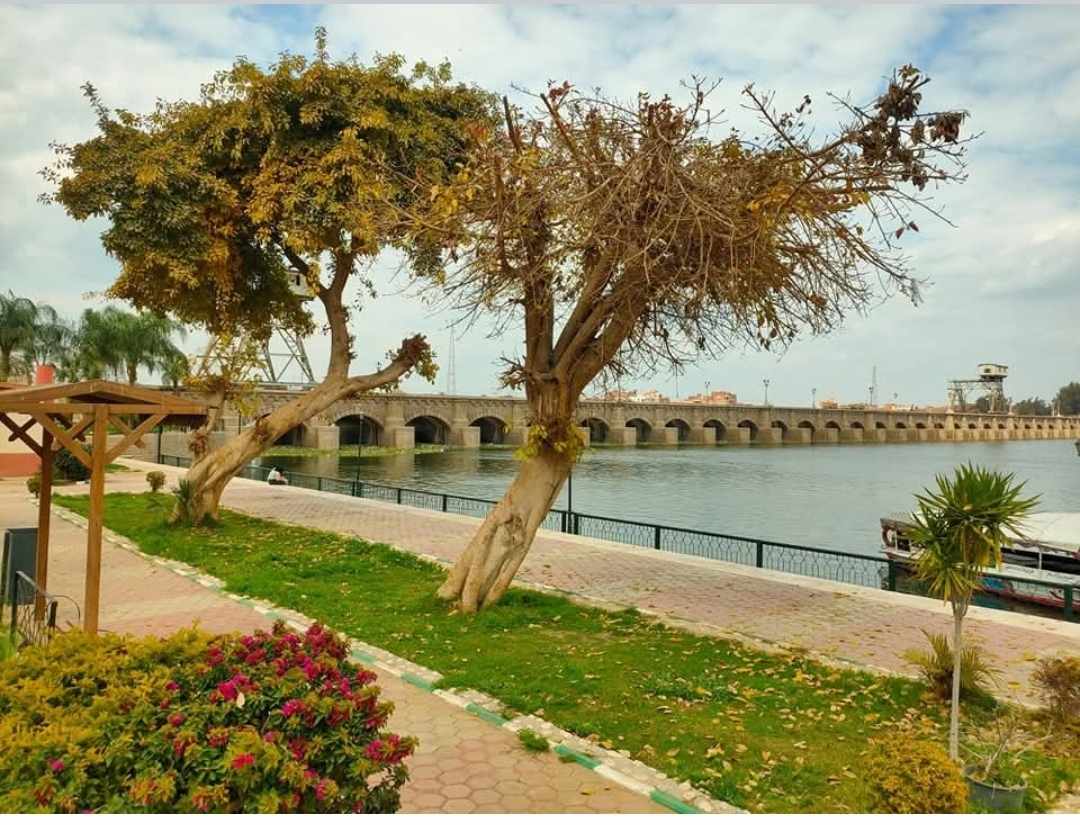 محافظ القليوبية يتابع استعدادات حدائق القناطر الخيرية لعيد الفطر المبارك 1 محافظ القليوبية يتابع استعدادات حدائق القناطر الخيرية لعيد الفطر المبارك 1