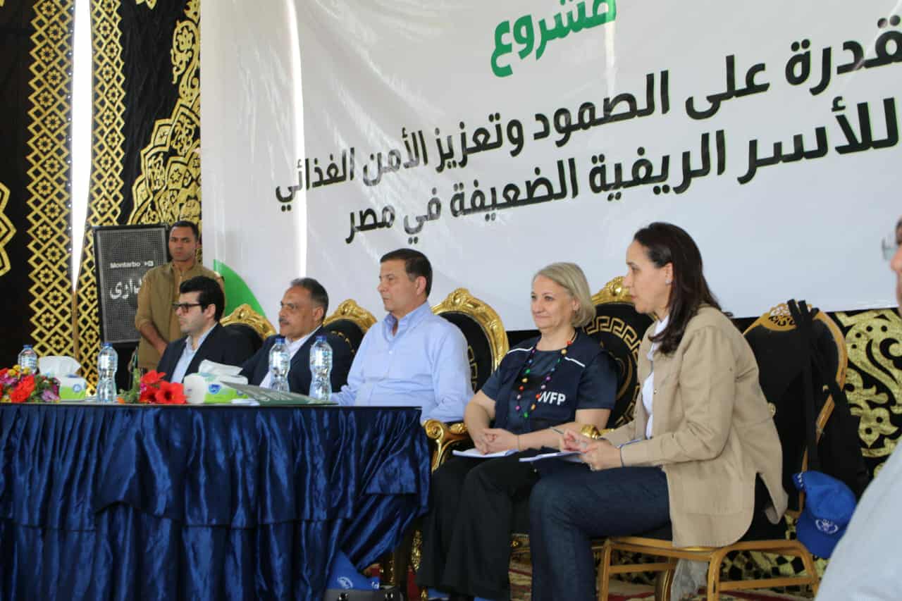وزير الزراعة يوجه بخفض تكاليف معدات الحصاد لمزارعي القمح
