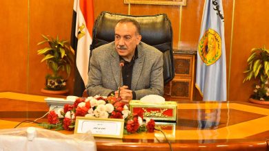محافظ أسيوط